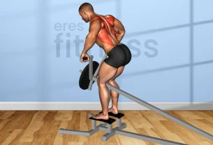 Beneficios del ejercicio Remo con barra Smith para fortalecer la espalda.