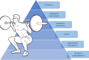 Beneficios del squat con mancuernas: ¡Potencia tu entrenamiento!