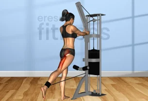 Cómo realizar correctamente el ejercicio de máquina de polea baja en el gimnasio