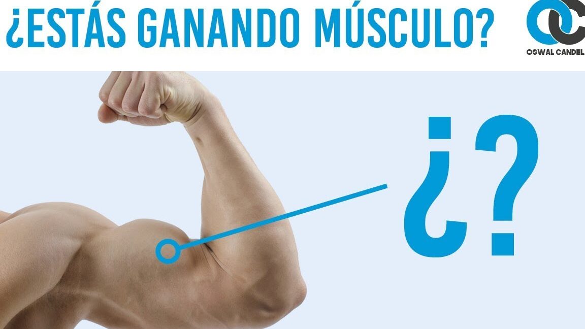 Cómo saber si estás ganando músculo