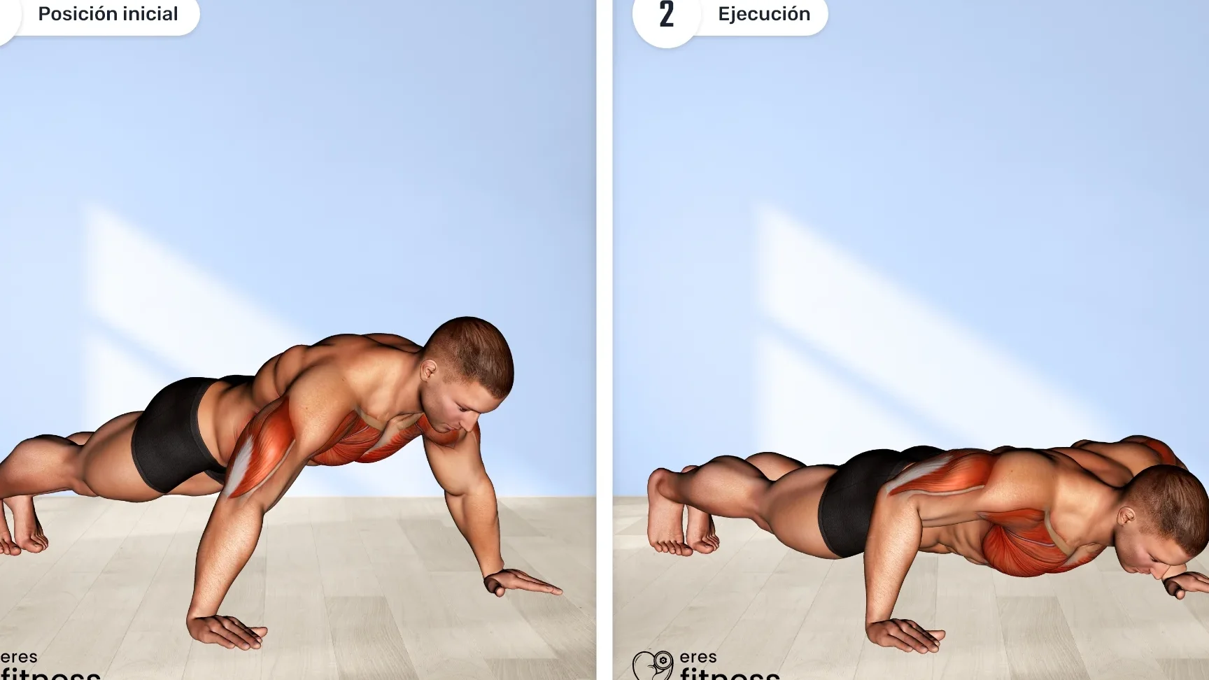 Comparativa entre flexiones y dominadas: ¿Cuál es el mejor ejercicio para ti?