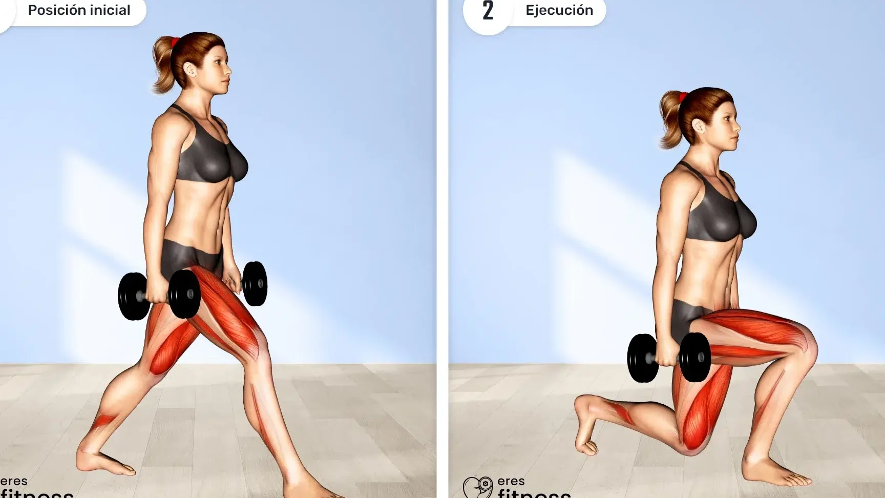 Diferencias entre lunges y split squats: ¿Cuál es el mejor ejercicio para tus piernas?