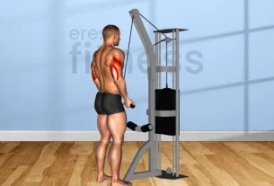 Ejercicios efectivos de tríceps con máquina de polea.