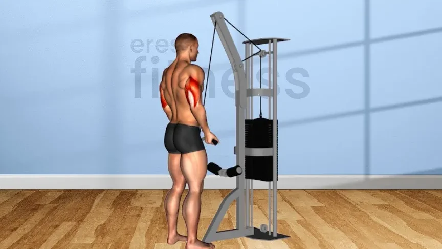 Ejercicios efectivos de tríceps con máquina de polea.