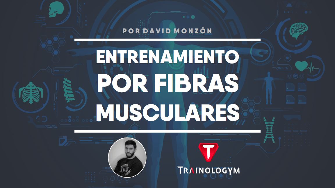 Ejercicios para fibras musculares de contracción rápida.