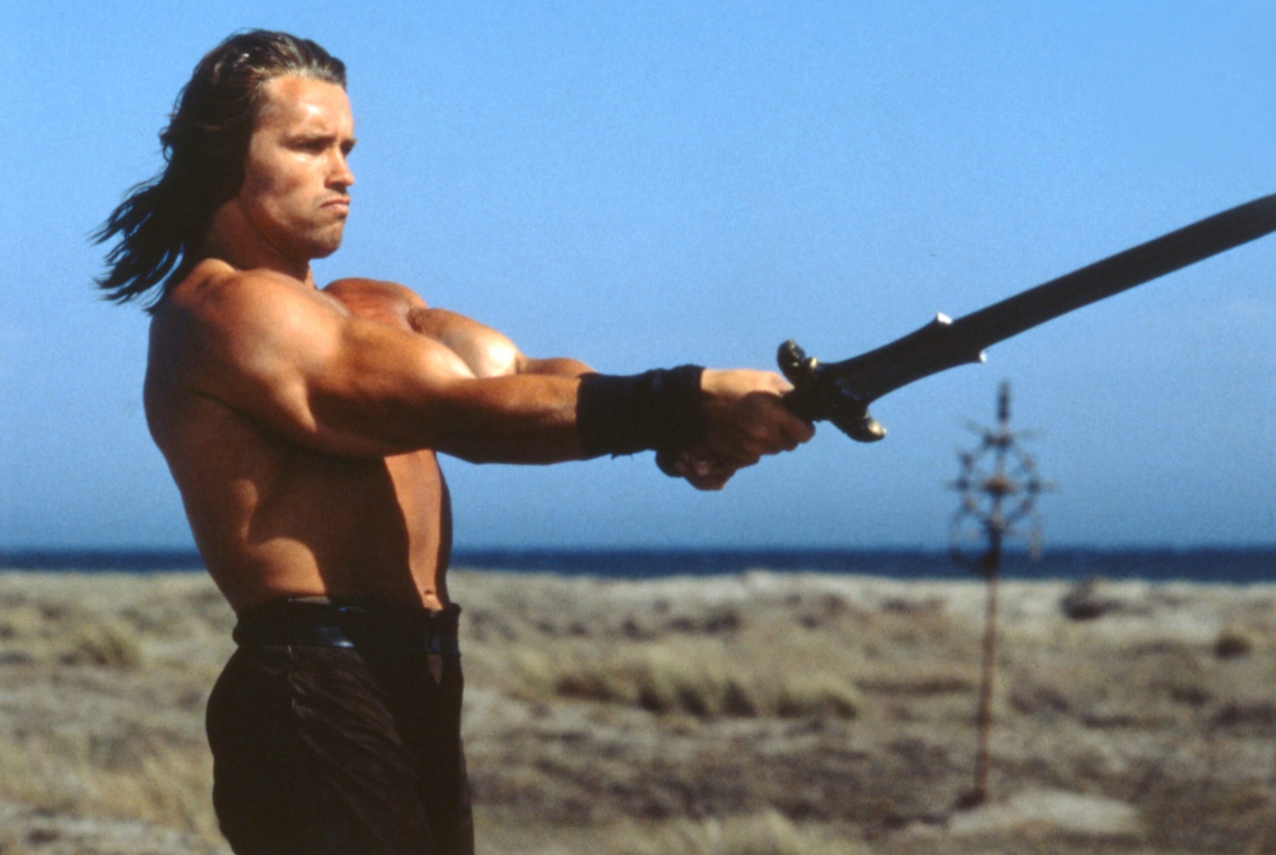 El ganador del Mr. Olympia de 1980: Arnold Schwarzenegger.