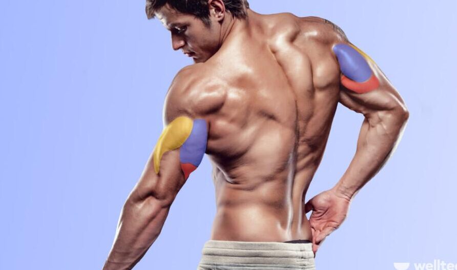 El músculo más grande del brazo: el tríceps.