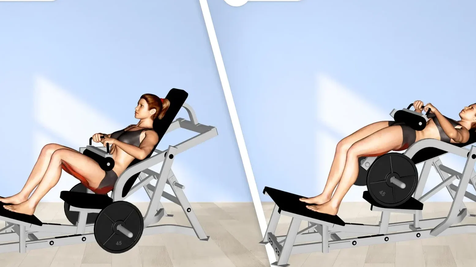Elevación de cadera con peso sobre banco: Guía completa para activar tus glúteos.