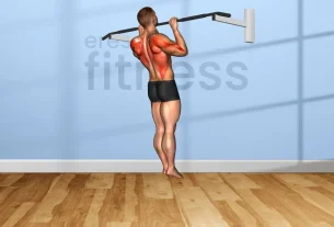 ¿En qué músculos trabajan las dominadas?
