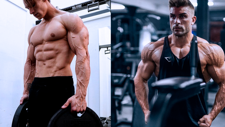 Entrenamiento de brazos de David Laid: Guía completa para desarrollar músculos definidos.