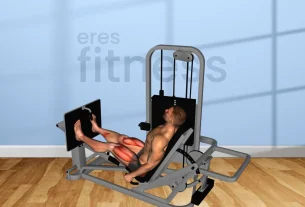 Extensión de piernas en máquina sentado: Guía completa y beneficios.