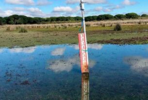 Fotos de antes y después de pérdida de peso con elíptica: impactantes transformaciones.