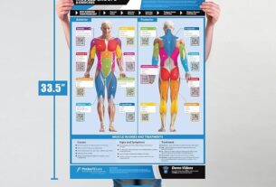 Gráfico de Ejercicios y Músculos: La Guía Completa.