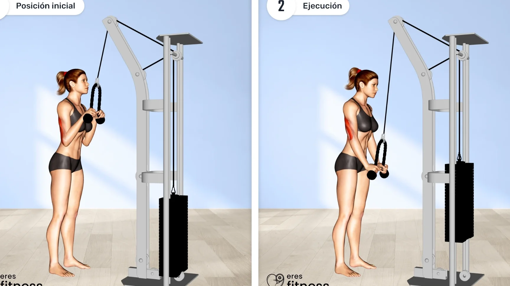 La correcta forma de hacer pushdown con cuerda para tríceps