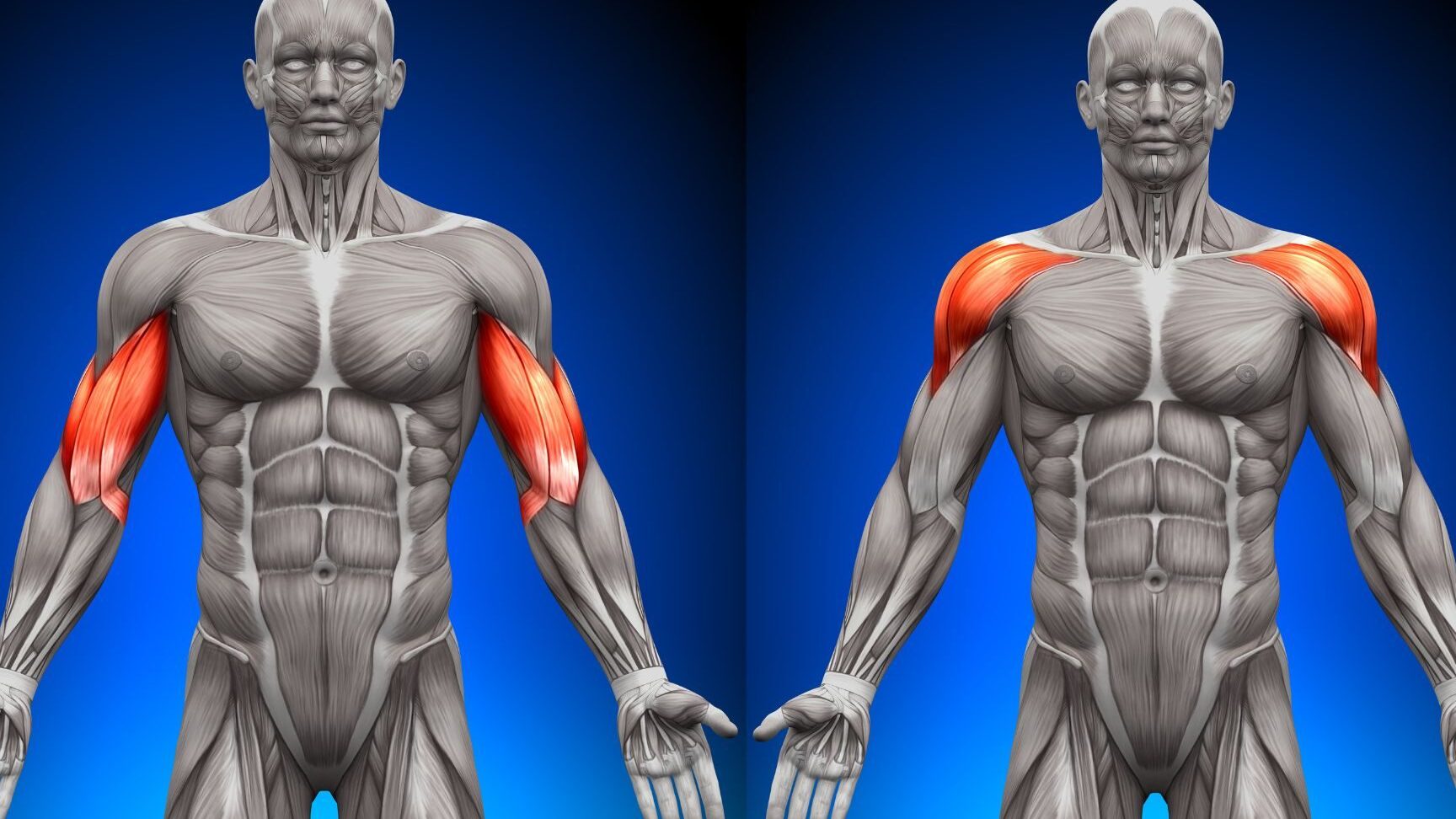 Levantamiento de pesas después de una cirugía de tríceps: Guía completa para tu recuperación.