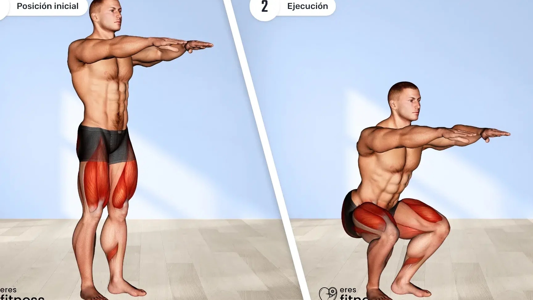 ¿Los squats trabajan los músculos de las pantorrillas?