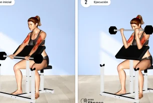 Máquina de Curl de Bíceps Sentado: Guía Completa y Beneficios