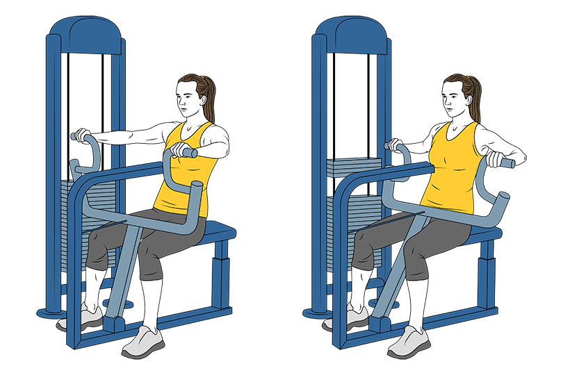 Máquina de remo con apoyo en el pecho: mejora tu espalda y brazos.