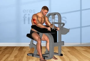 Máquina de tríceps pushdown sentado: Ejercicio efectivo para fortalecer tus brazos.