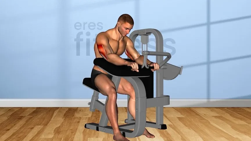 Máquina de tríceps pushdown sentado: Ejercicio efectivo para fortalecer tus brazos.