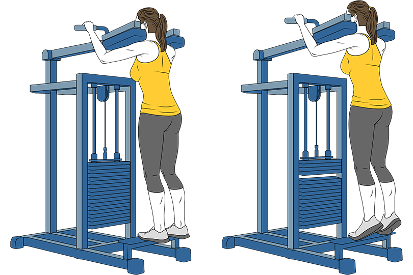Máquinas de ejercicio para brazos: Mejora tu fuerza y tonifica los músculos.