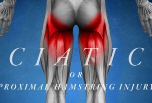 Músculos de la parte posterior de la pierna identificados