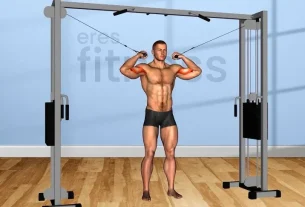 Músculos trabajados con flexiones de bíceps
