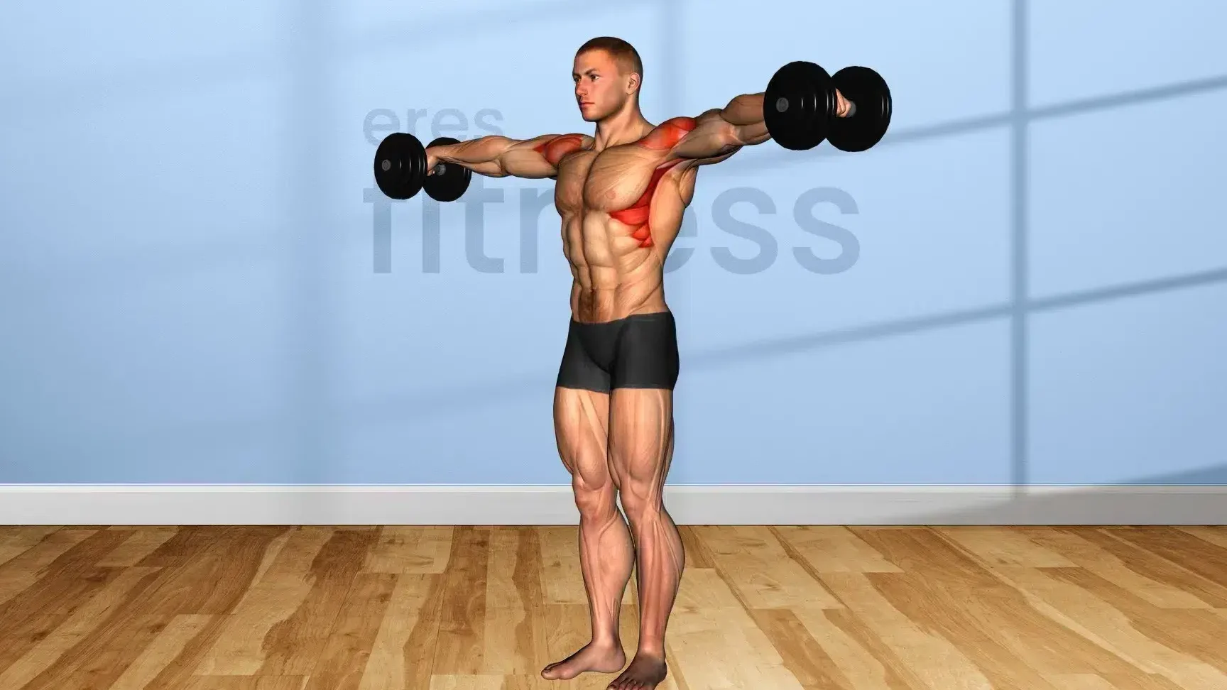 Músculos trabajados en el ejercicio de encogimiento de hombros con mancuernas