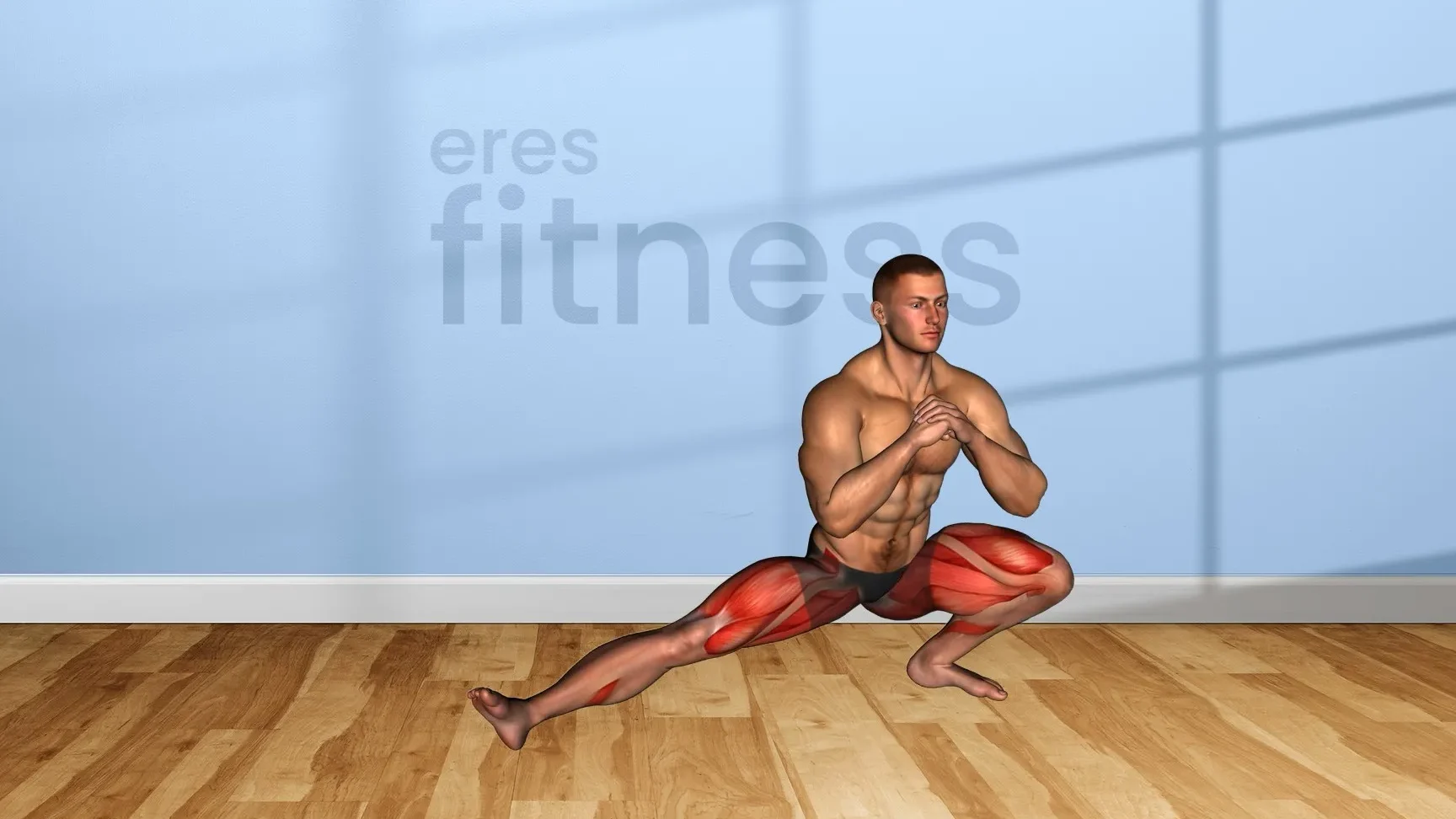 Músculos trabajados en el split squat: guía completa.
