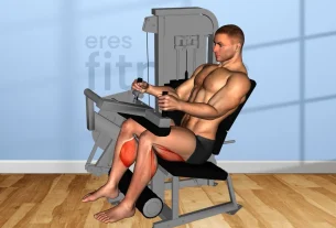 Músculos trabajados en la máquina de extensión de espalda sentado