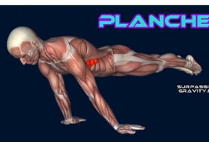 Músculos trabajados en las Plancha con Taps de Hombros