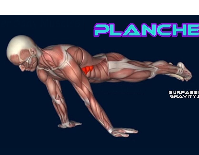 Músculos trabajados en las planchas push-ups: una guía completa.