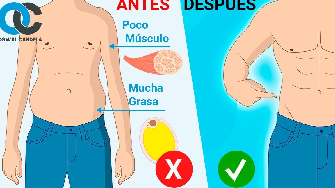 Por qué estoy delgado pero tengo grasa abdominal