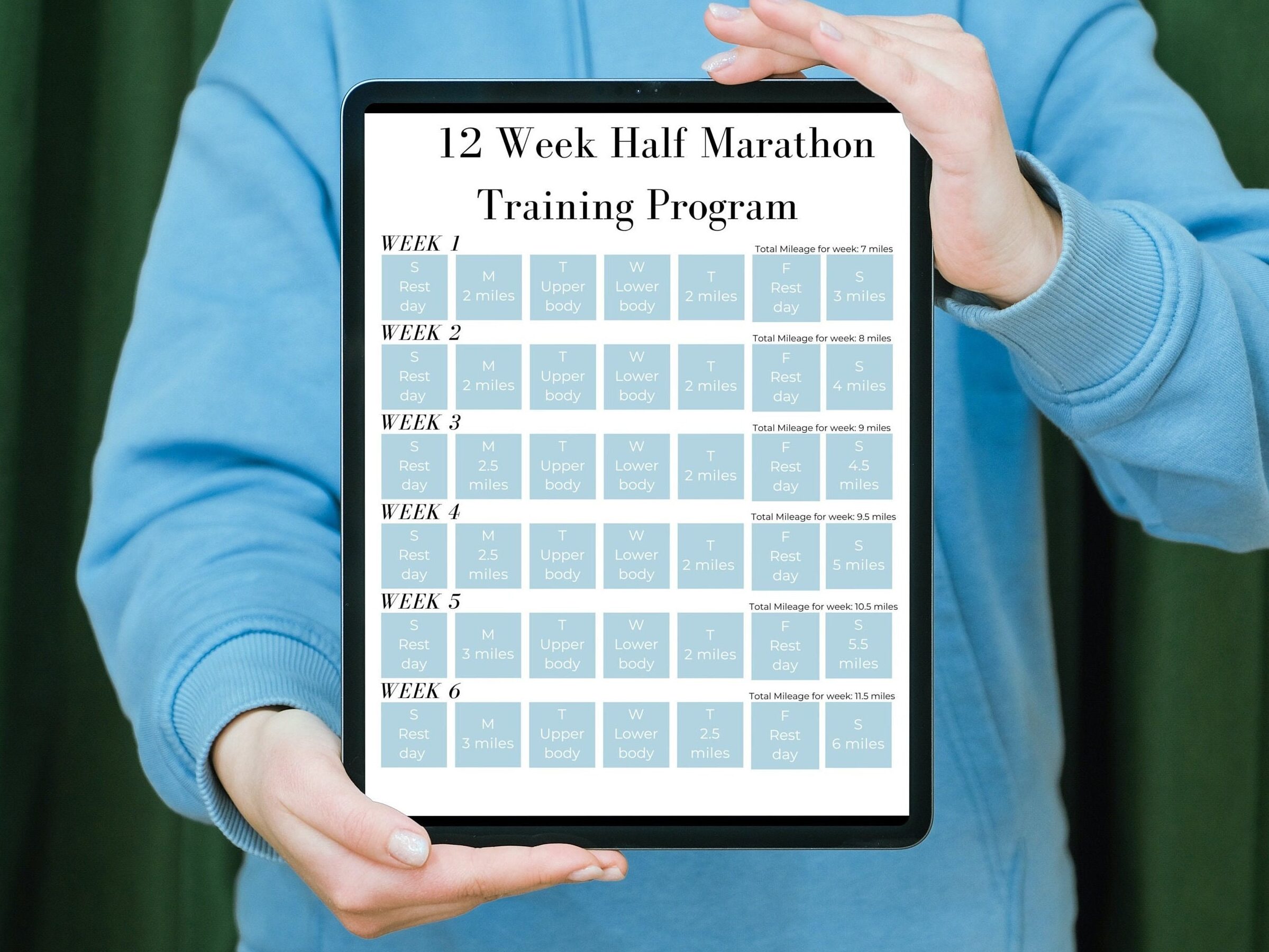 Programa de entrenamiento de fuerza de 12 semanas en formato PDF