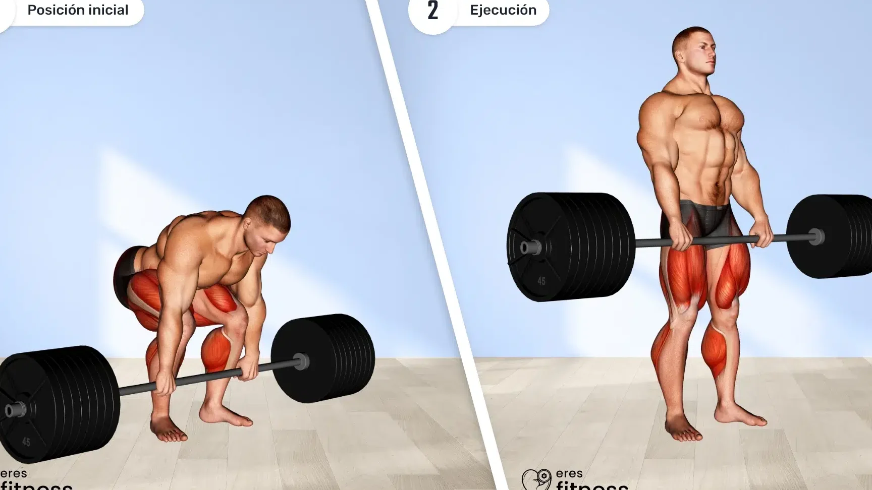 Qué músculos trabaja el sumo deadlift.