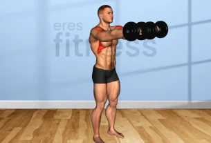 Qué músculos trabajan las elevaciones de bíceps con mancuernas