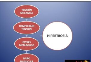 Rango de Repeticiones para Hipertrofia Miofibrilar