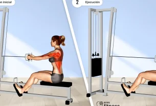 Rutina de ejercicios: Remo con barra recta sentado