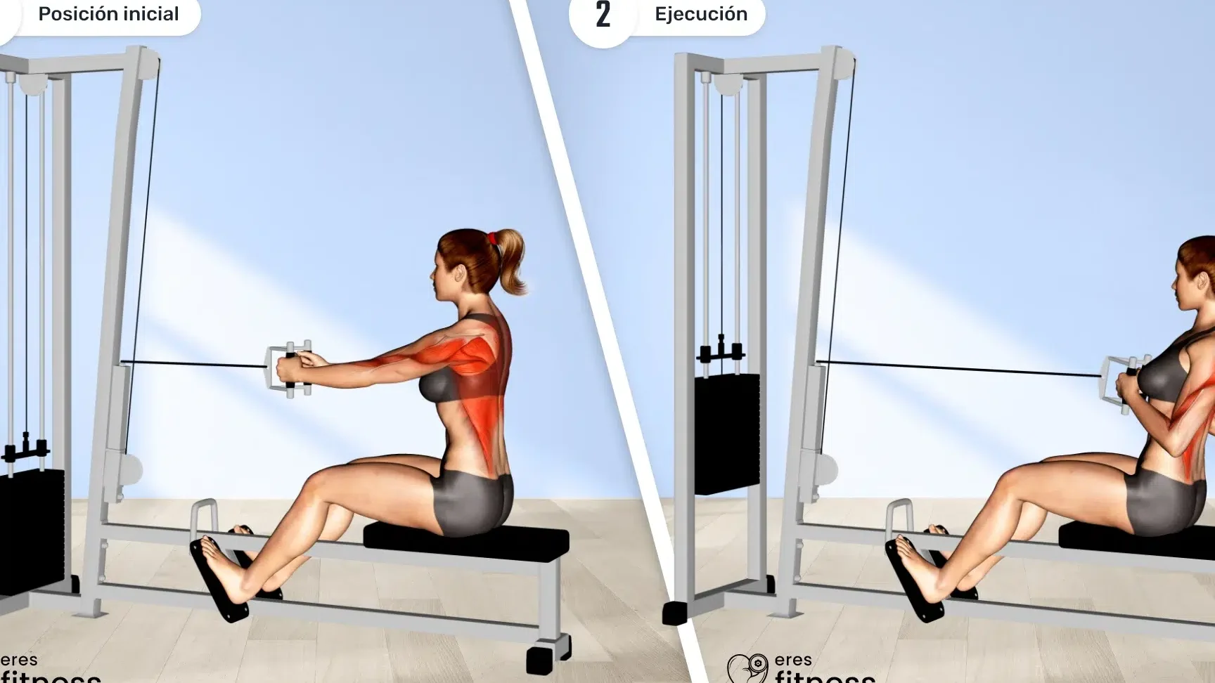 Rutina de ejercicios: Remo con barra recta sentado