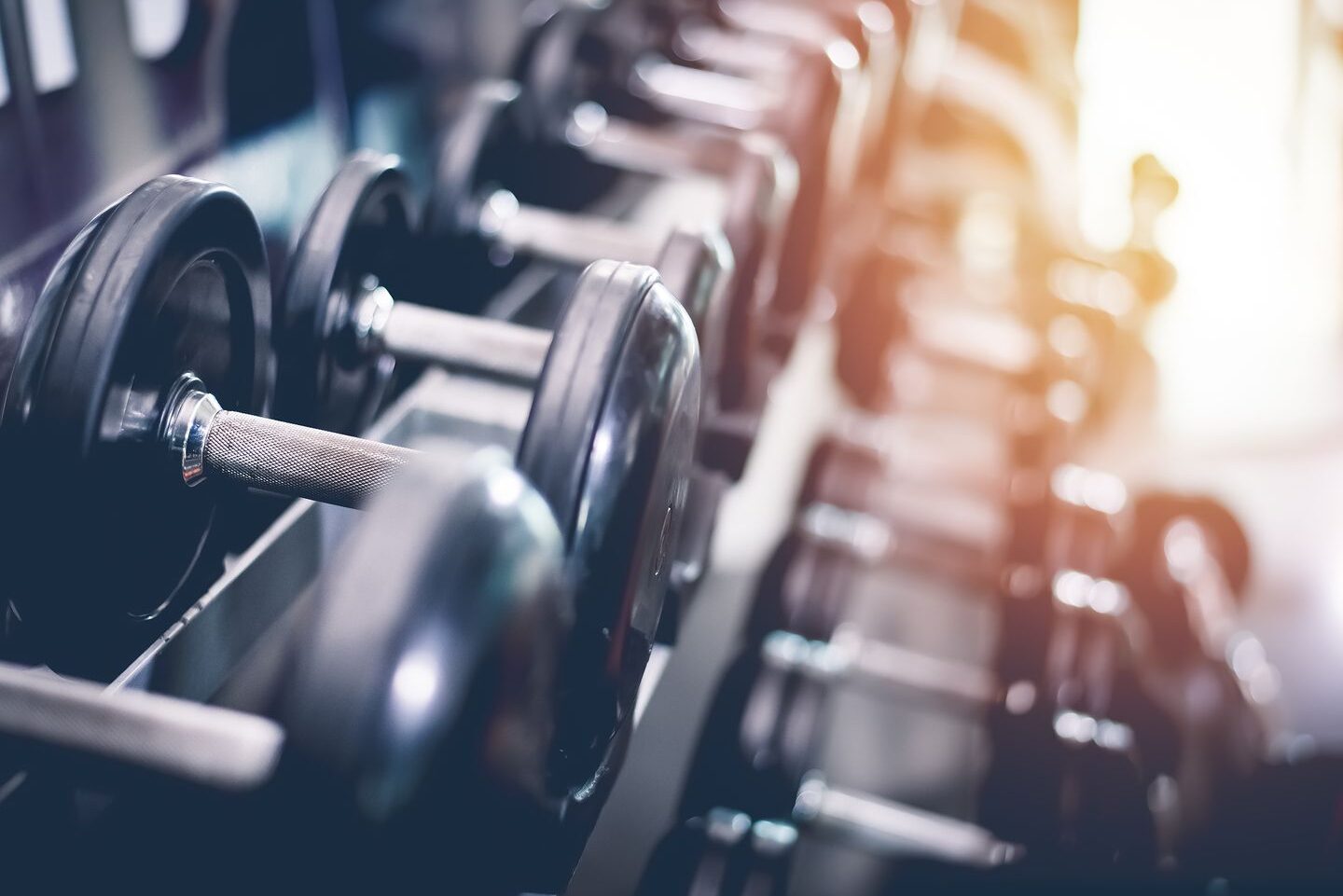 Tarifa por visita en el gimnasio: todo lo que necesitas saber.