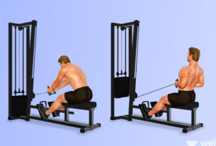 upper back machine exercises