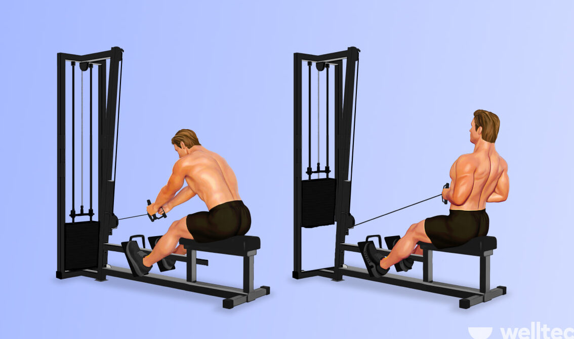 upper back machine exercises